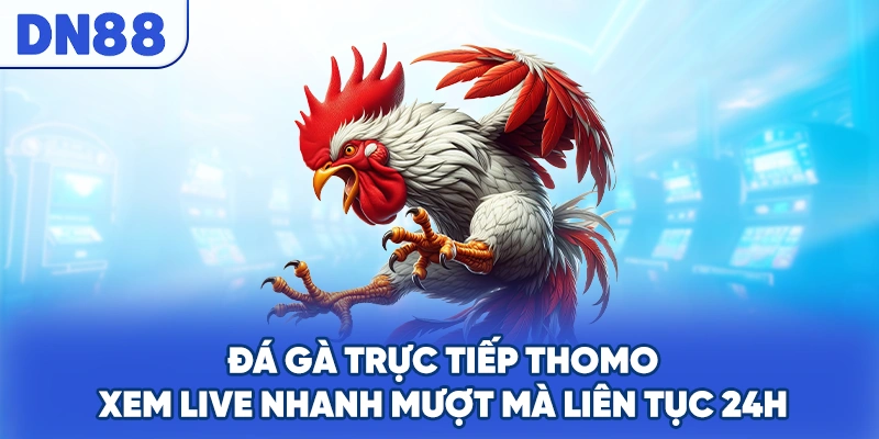 Đá Gà Trực Tiếp Thomo - Xem Live Nhanh Mượt Mà Liên Tục 24H