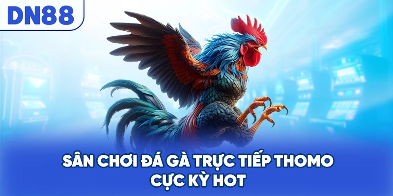 Sân chơi đá gà trực tiếp thomo cực kỳ hot
