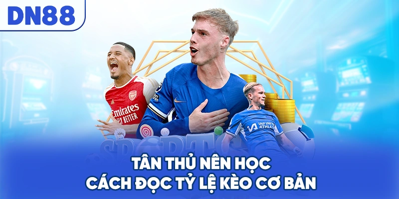 Tân thủ nên học cách đọc tỷ lệ kèo cơ bản
