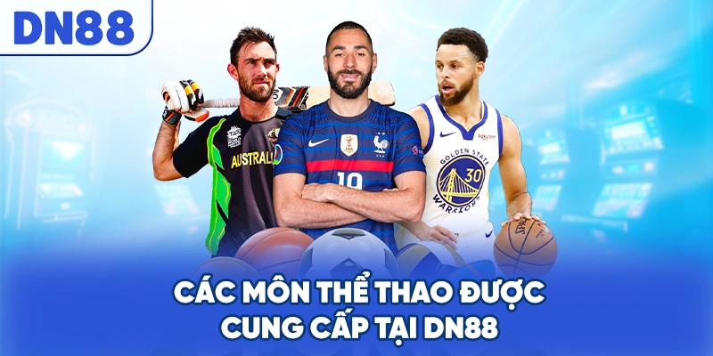 Các Môn Thể Thao Được Cung Cấp Tại DN88