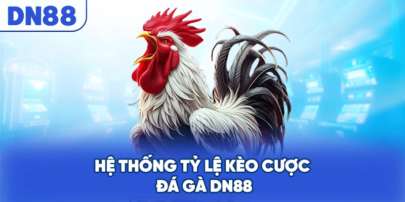 Hệ thống tỷ lệ kèo cược đá gà DN88